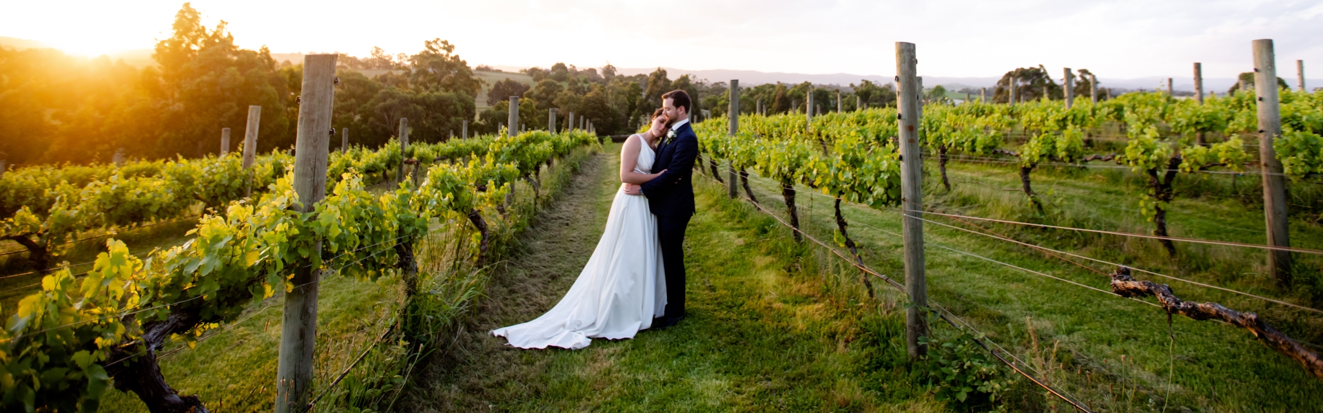 4b2b2fab-37a7-46cb-b0af-81451095d83b-In the vines 2[2613].JPG